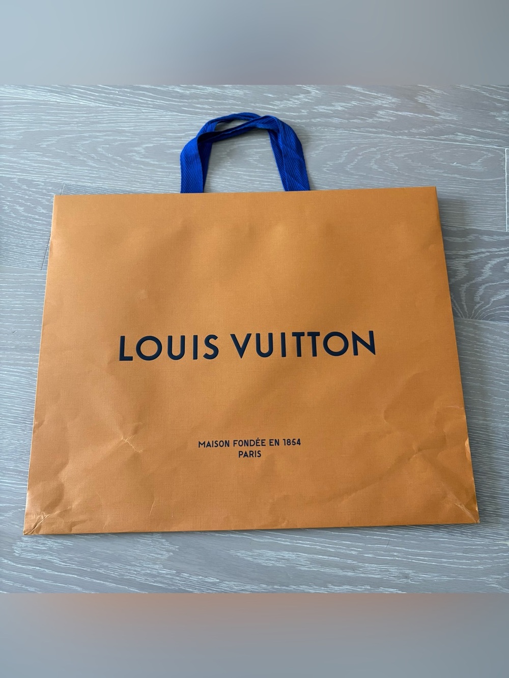 Louis Vuitton Medium Large Shopping Gift Bag